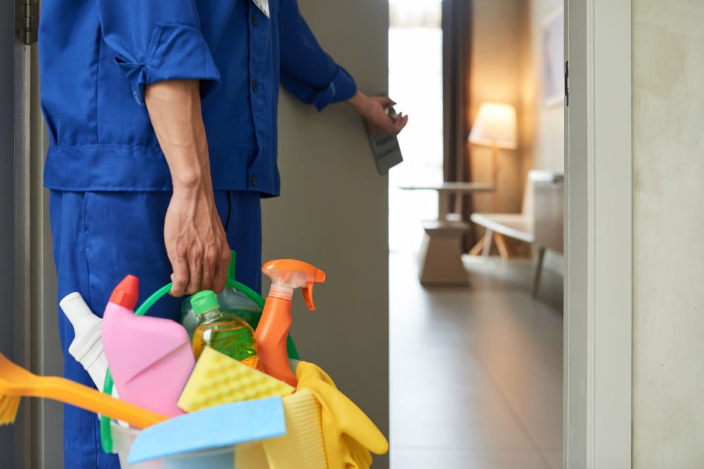 Professional cleaning team at work
